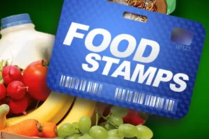 Can You Use EBT Food Stamps for A Profitable Business?